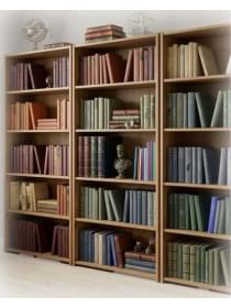 Шкафы книжные Шкафы книжные